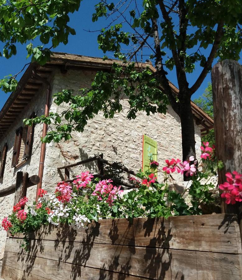 B&B Dell'Osteria Sant'Anatolia di Narco Exterior photo