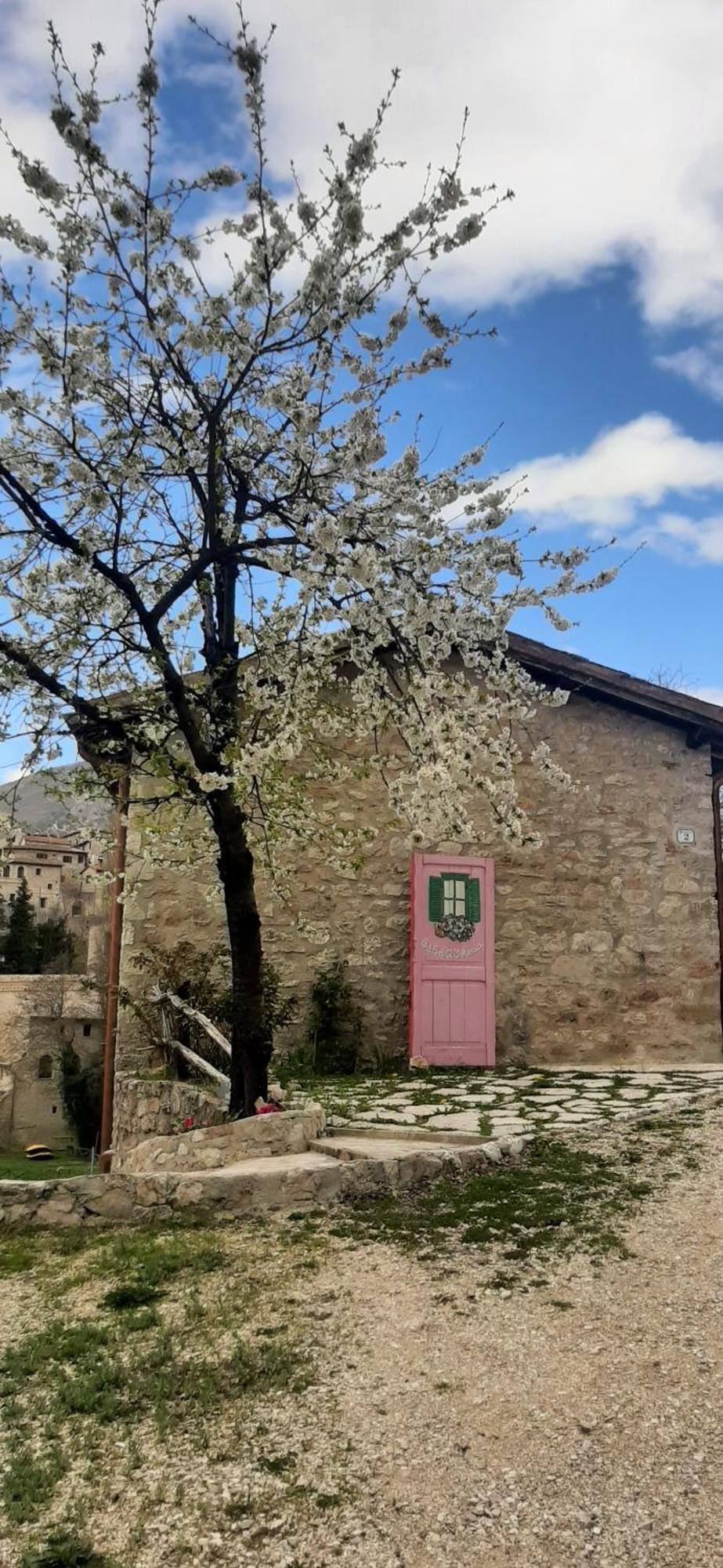 B&B Dell'Osteria Sant'Anatolia di Narco Exterior photo